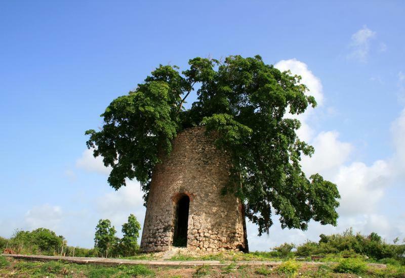 Gîte Poz Kreyol Port-Louis Exterior foto